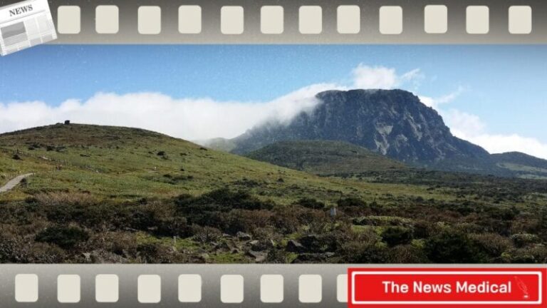 제주 한라산 구름 초록 높은산 푸르름 파란하늘 중산간 백록담