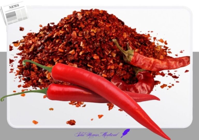 매운고추 캡사이신 고추가루 김치 태양초