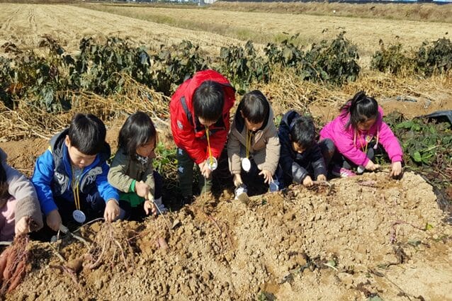 맞춤형 돌봄 서비스