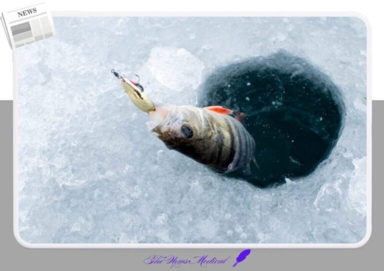 겨울, 얼음낚시 물고기 송어 산천어