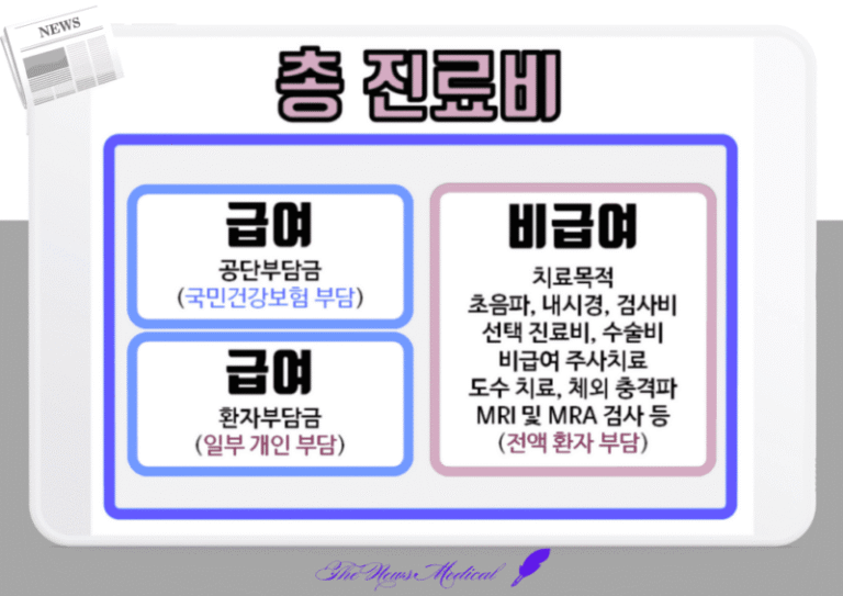 진료비, 급여, 본인부담, 비급여 건강보험