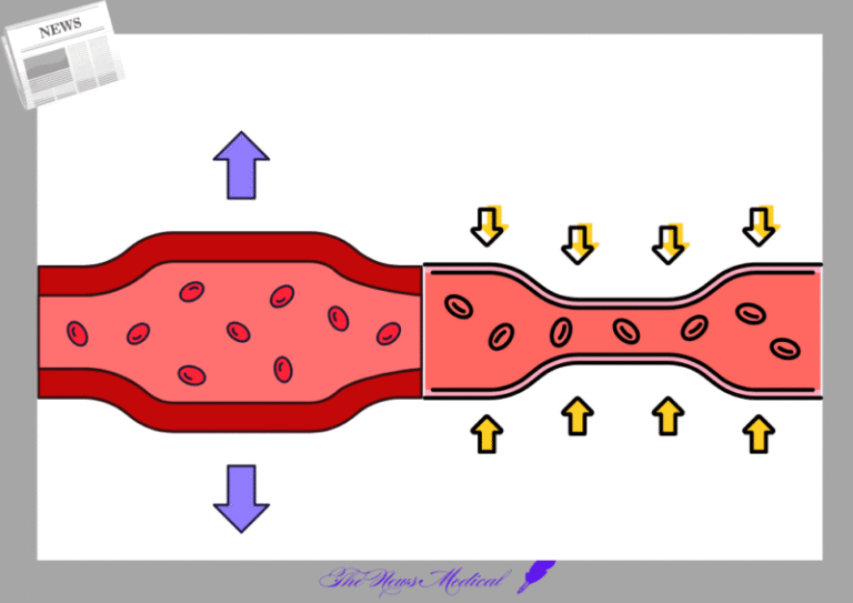 혈관 수축 팽창 혈액