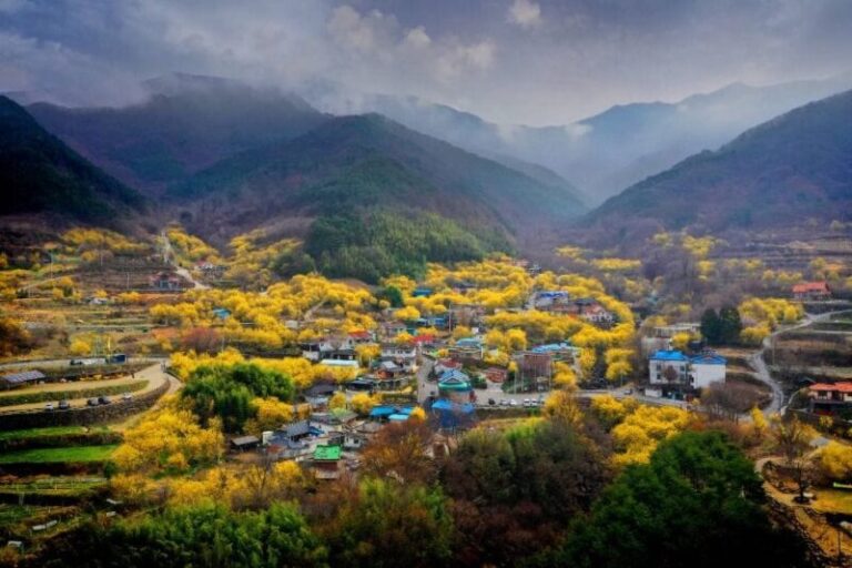 구례 산수유꽃축제 사진제공 한국관광공사
