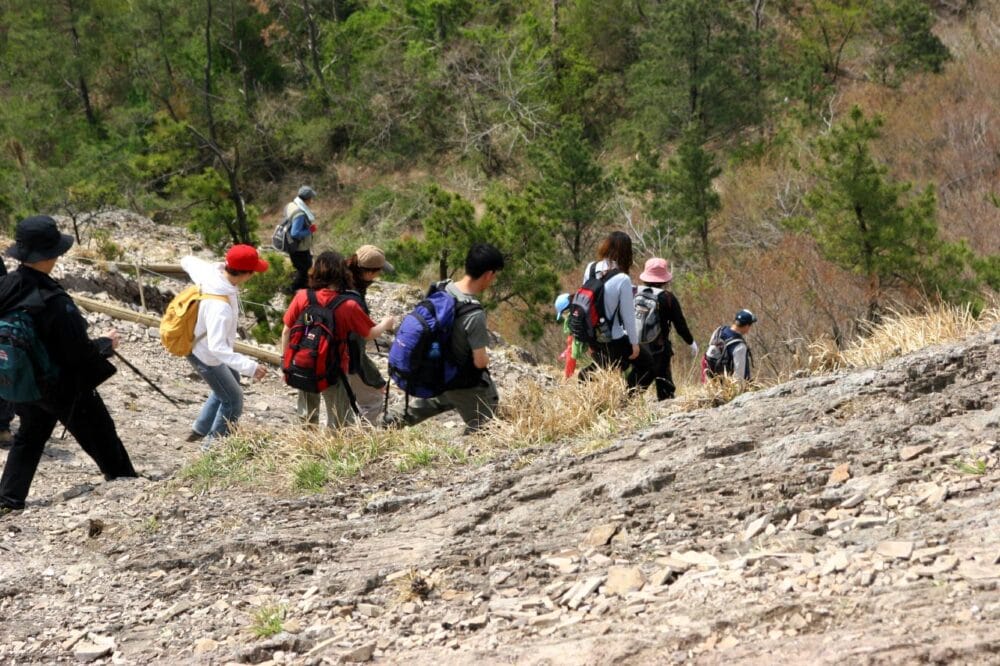 2025 황매산 철쭉제 개막