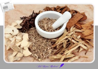 쌍화탕 vs 쌍화차