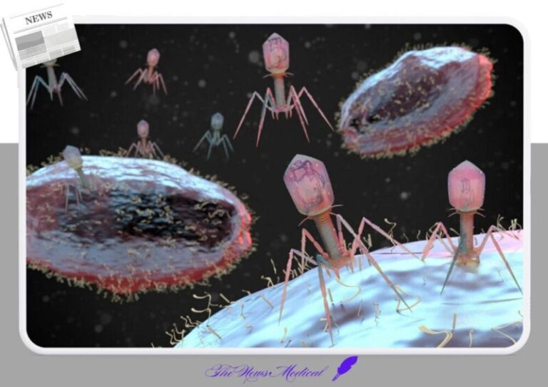 박테리오파지 바이러스