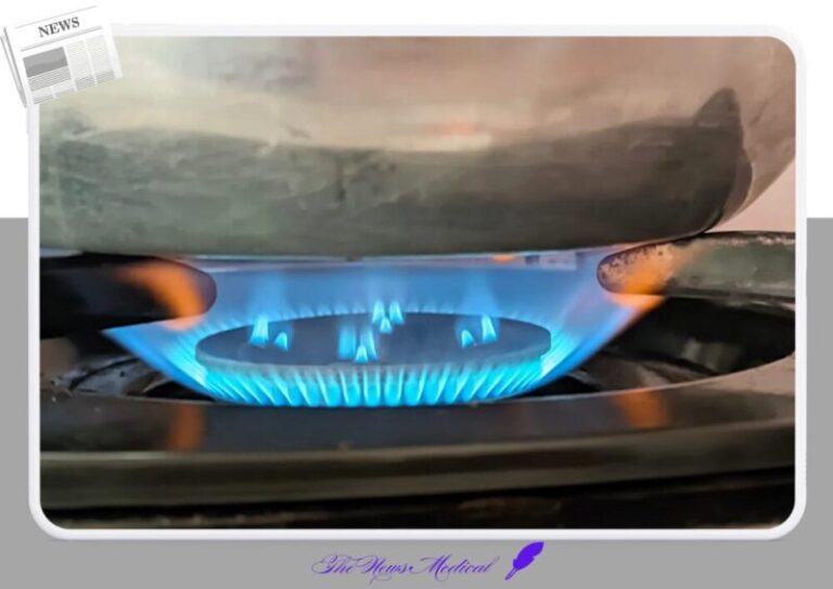 불조절 가스불 조리불 음식 가스렌지