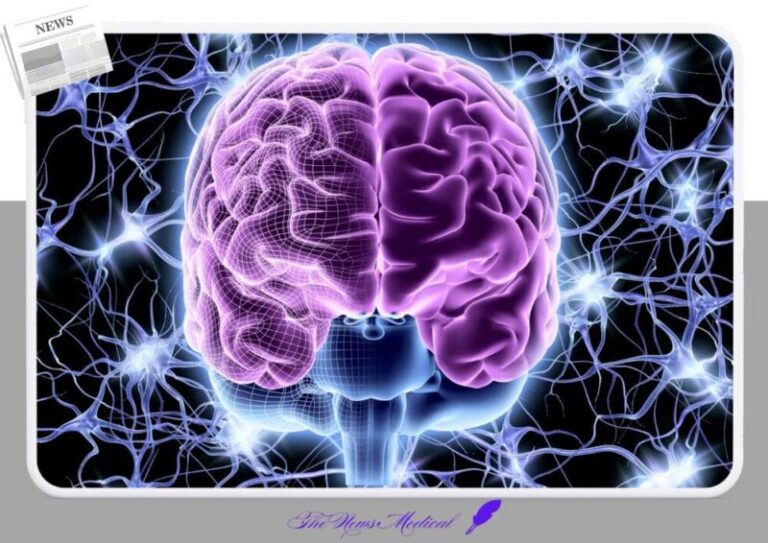 두뇌,뇌질환 뇌세포, 머리, 뇌파, 생각 brain