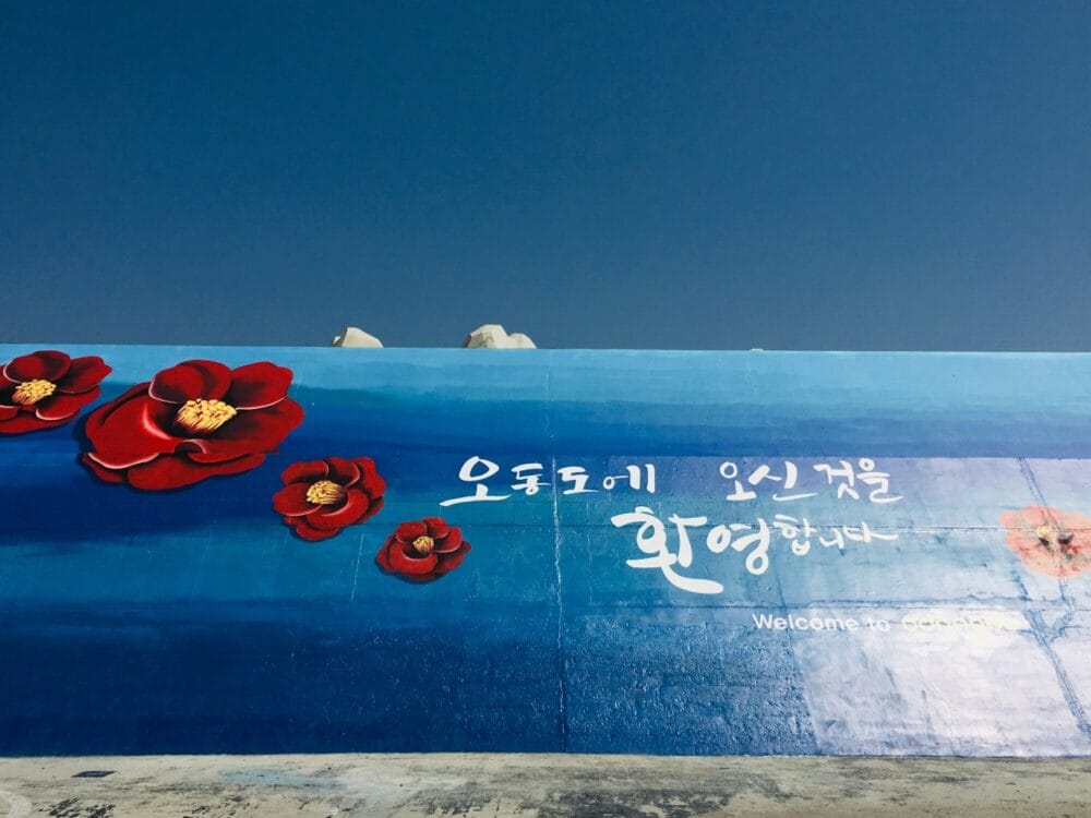 여수 오동도 동백꽃