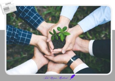 출생 미등록 아동