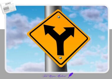 2025 일반고 4년제 대학 진학률