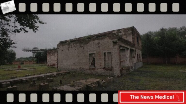 731부대 일제 만행 마루타