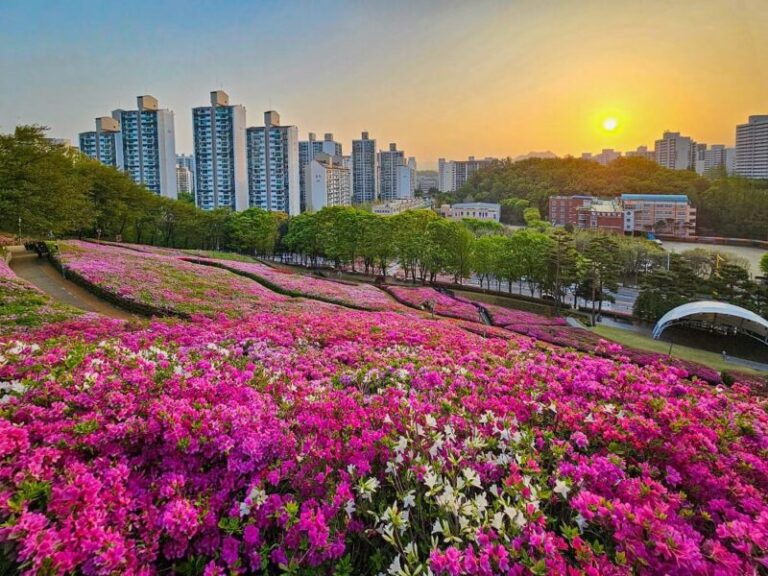 군포철쭉축제-2
