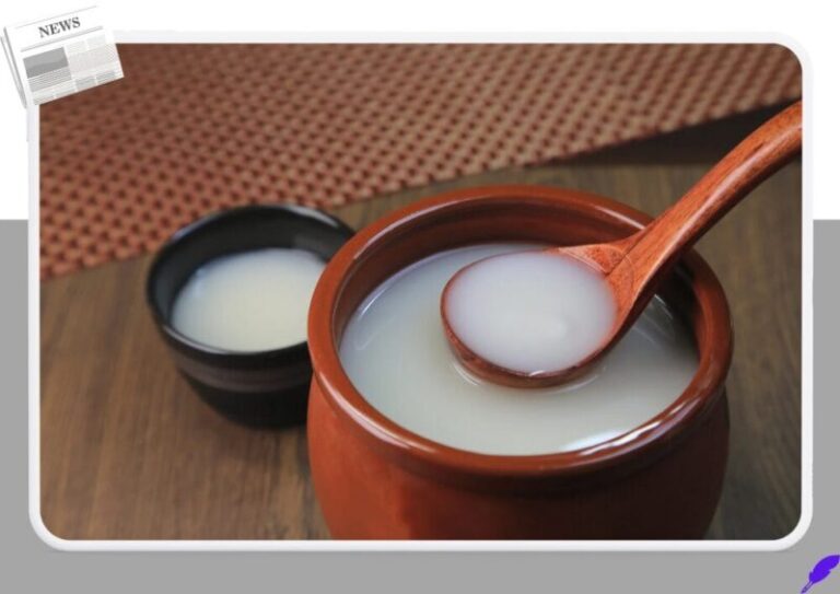 막걸리 탁주 알콜