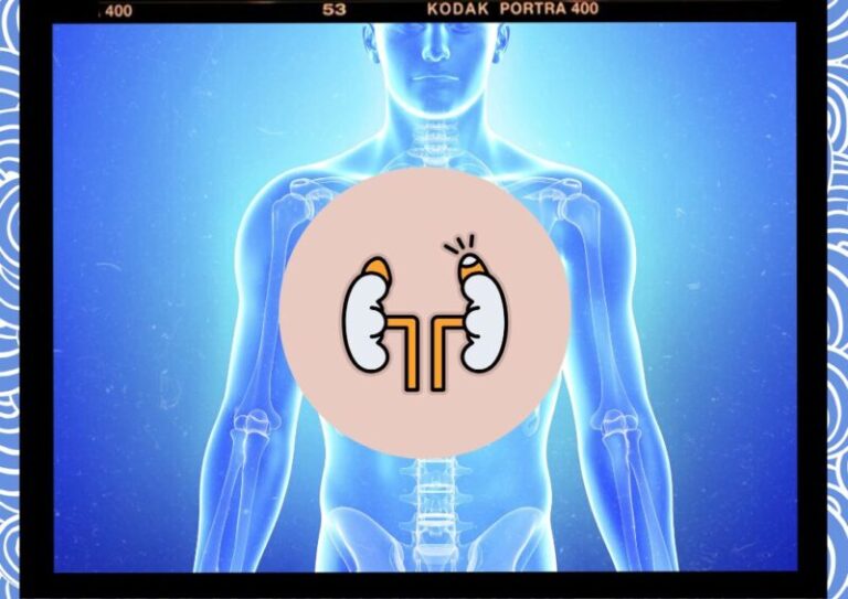 쿠싱증후군 부신