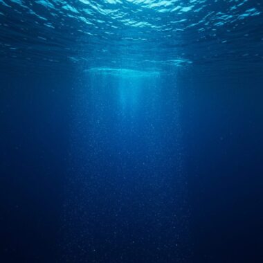 1857년 공황의 그림자