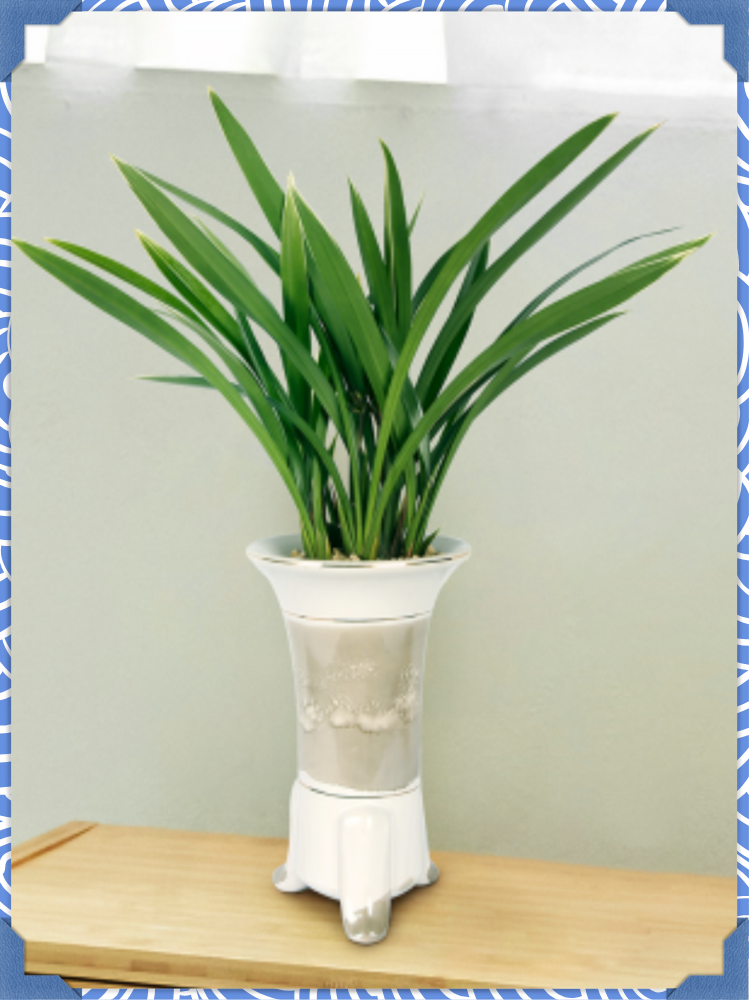 신비로운 난초의 세계