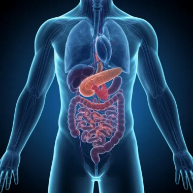 자동 양조 증후군