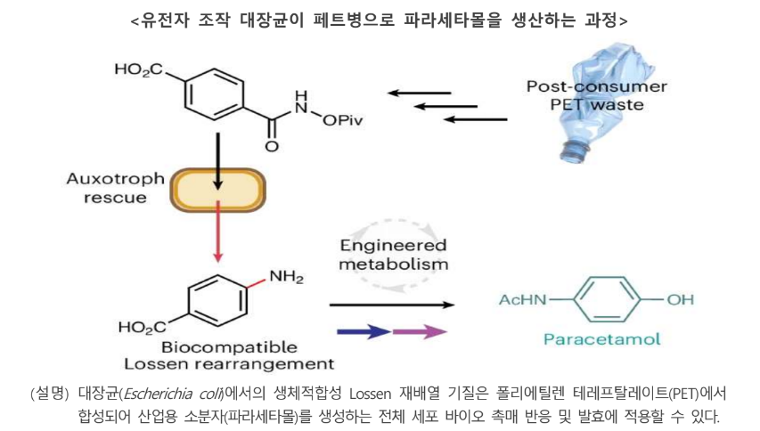 미생물이 플라스틱 폐기물을 의약품으로