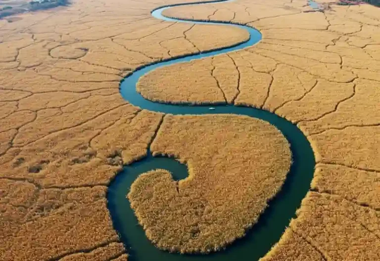 자연과 인간의 조화 순천
