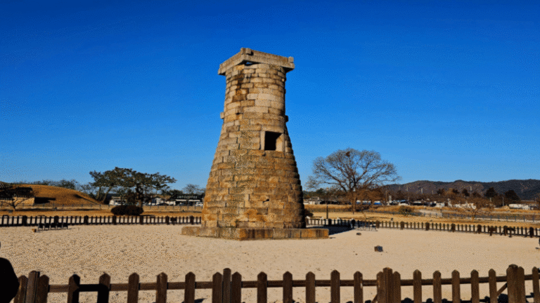 첨성대 t신라,천문