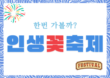 2025 월출산 국화축제