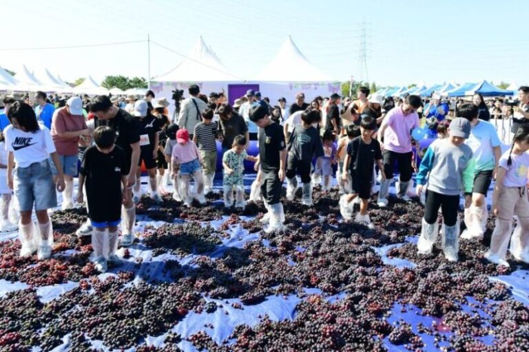 대부포도축제-1,포도
