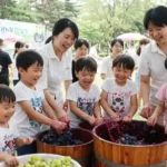 2025 영동포도축제