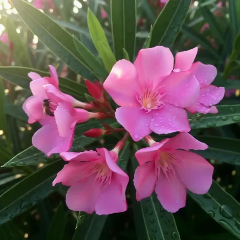 단 한 조각으로 성인 사망? '이 식물' 잎사귀의 치명적 진실