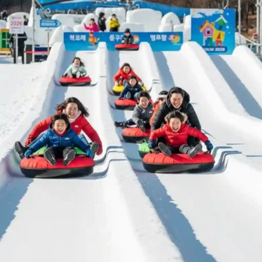 제33회 태백산 눈축제
