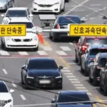 교통카메라,자동차(사진=더뉴스메디칼)