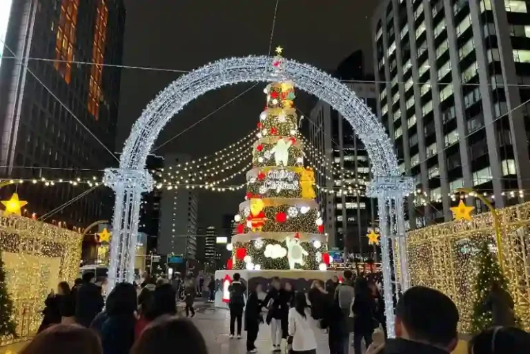 빛 축제, 크리스마스, 트리(사진=더뉴스메디칼)