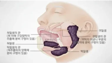 소화부터 면역까지 침의 역할