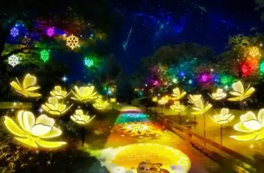 2025 구리 빛 축제