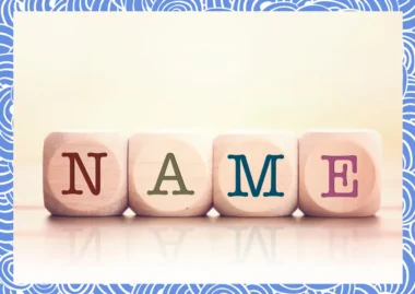 덴마크 이름 승인 제도