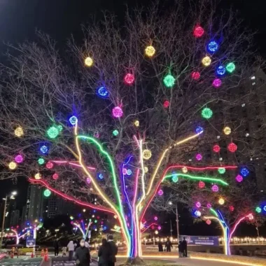 제3회 부산 온천천 빛 축제