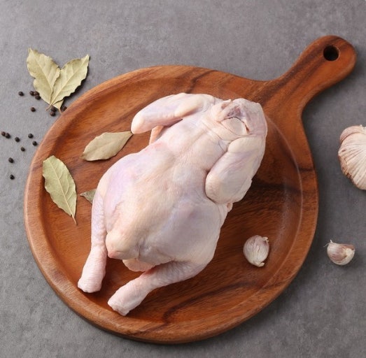 생닭, 닭고기, 단백질