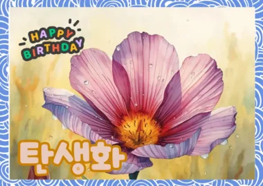 12월 25일 탄생화 서양호랑가시나무