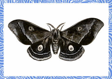 컴퓨터 버그의 최초 기록