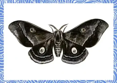 컴퓨터 버그의 최초 기록