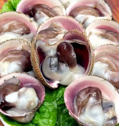 2026년 홍성남당항 새조개축제