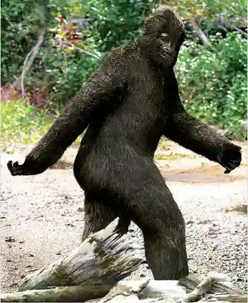 미확인 거대 유인원