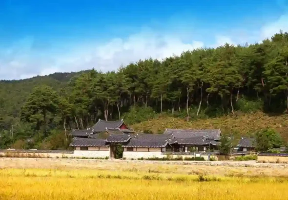 봉화닭실마을, 농촌, 고즈넉_resized