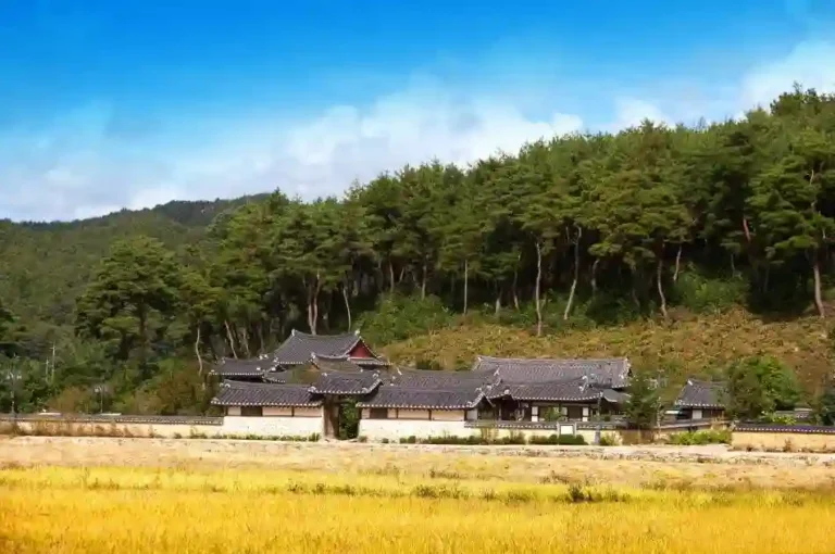 봉화닭실마을, 농촌, 고즈넉_resized