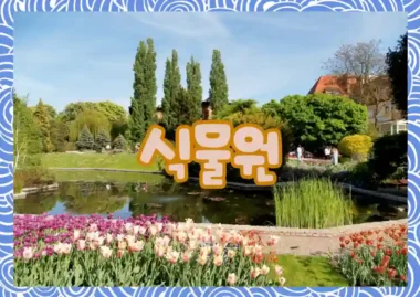 밤마다 잎을 모아 기도하는 칼라테아