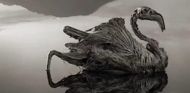 나트론호수 동물화석(사진=유튜브 '리부엉이' 영상 캡쳐)