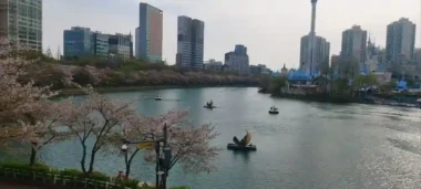 2026년 서울 봄꽃길 175선