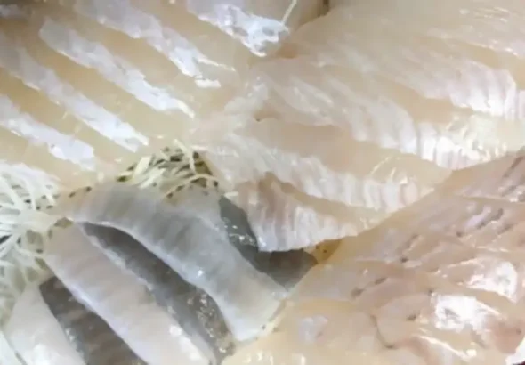 광어회, 생선회_resized