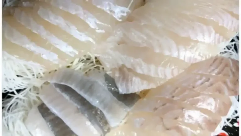 광어회, 생선회_resized