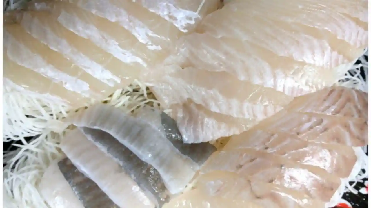 서천 자연산 광어 도미 축제